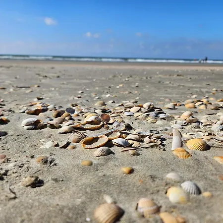 Tranquil Retreat In Romo - By Traum Toftum (Syddanmark)