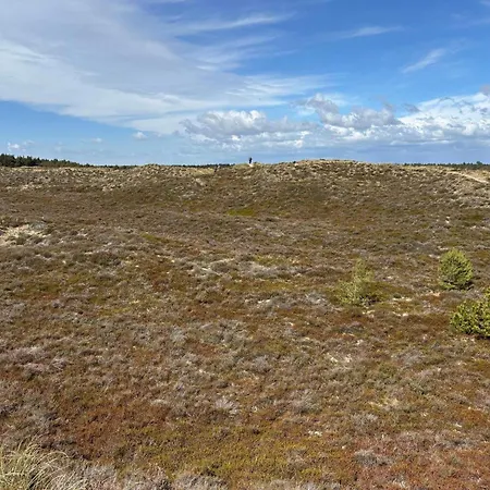 Tranquil Retreat In Romo - By Traum