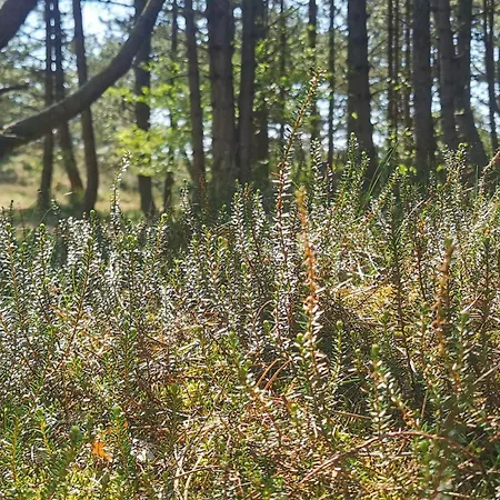 Tranquil Retreat In Romo - By Traum Casa de Férias *